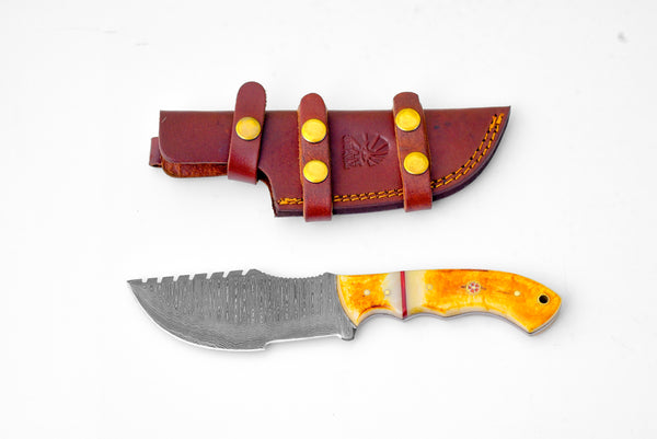 Amber Fang - Damascus steel/ Camping/ Burnt Bone TK-216