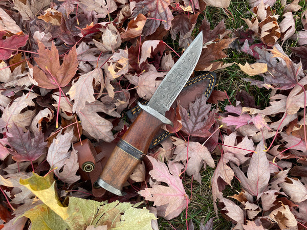 Ironwood Stalker TK-214 Damascus steel hunting knife by Titan International Knives