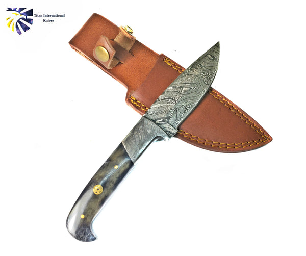 Damascus Knife/ Titan/ Camp/ Hunting Knife / Dyed Bone TD-191Y
