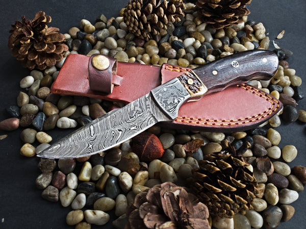Damascus Steel Fixed Blade Knife with Walnut & Stag Horn Handle Hunting Knife TD-159
