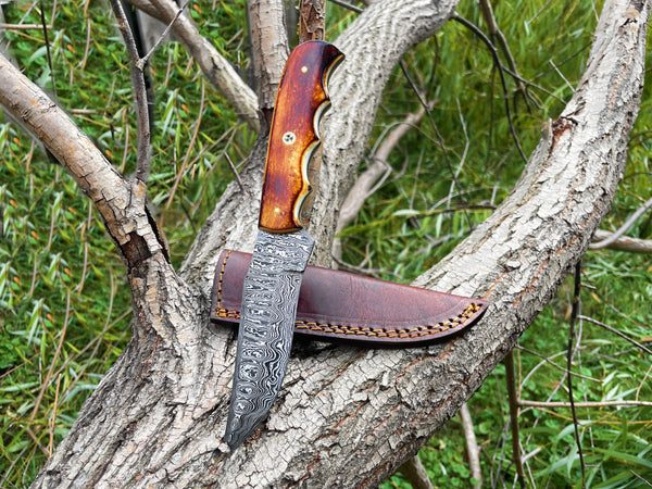 A.5 DAMASCUS STEEL HUNTING KNIFE BURNT BONE SCALES TD-711