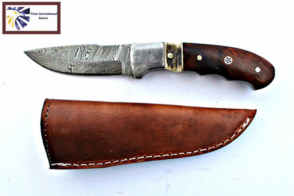 Damascus Steel Fixed Blade Knife with Walnut & Stag Horn Handle Hunting Knife TD-159