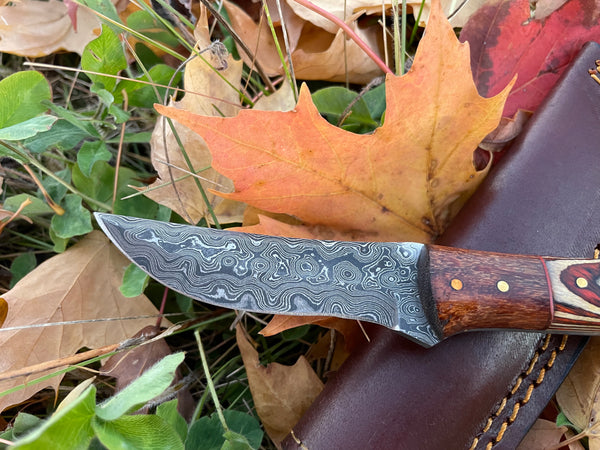 Hand forged knife, Damascus knife, Drop- Style blade, Black Walnut and Diamond Wood Scales Hunting knife by Titan TK-044