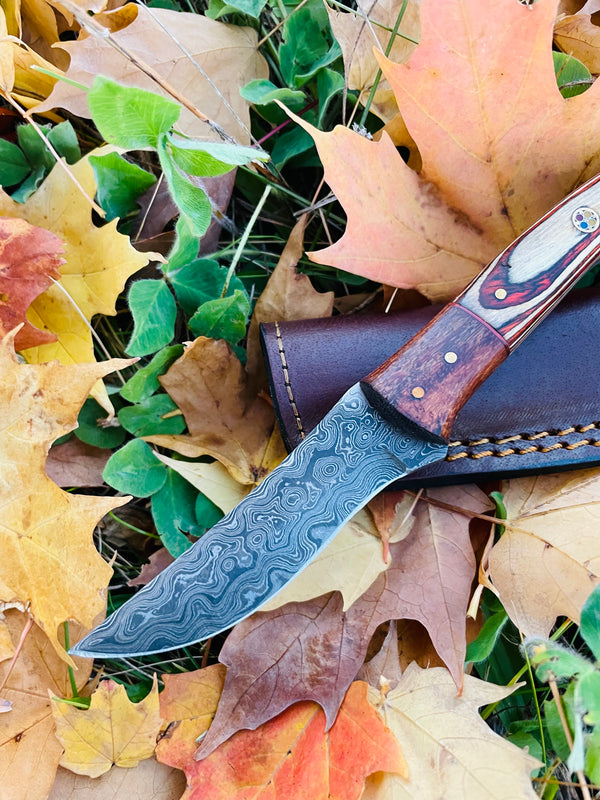 Hand forged knife, Damascus knife, Drop- Style blade, Black Walnut and Diamond Wood Scales Hunting knife by Titan TK-044