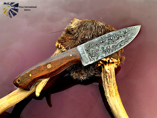 10"Inch Custom HandMade Forged Damascus Steel Hunting Bowie Knife Fixed Blade Diamond Wood Handle W/Leather Sheath Full Tang TD-420