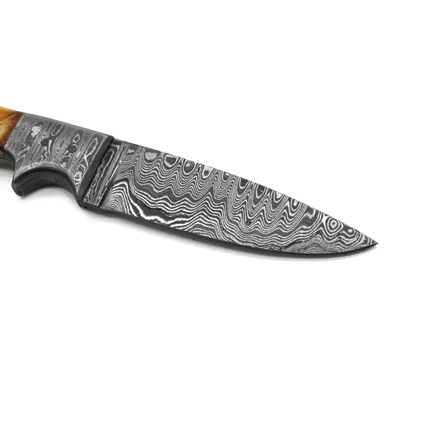 Hand Forged Damascus Knife , HUNTING KNIFE BY TITAN TD-193 – Titan  International K.