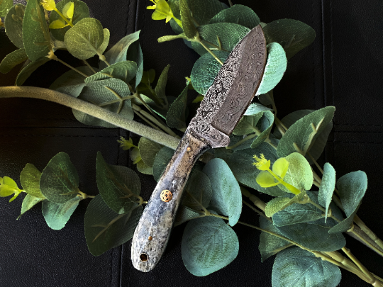 Damascus Steel EDC Titan Sparrow TD-603 (1)