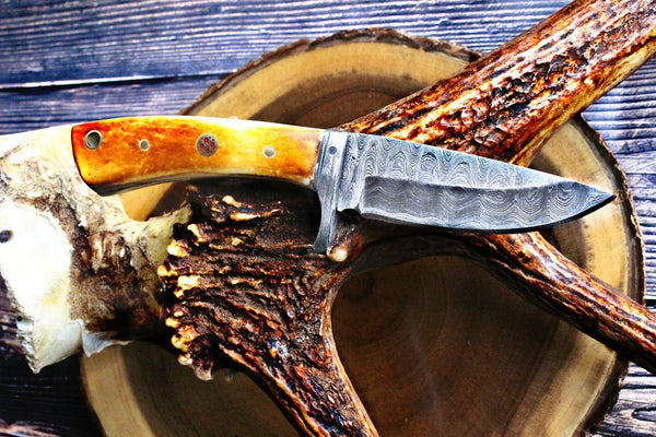 Damascus Steel Fixed Blade hunting Knife with Damascus Hilt Titan Drop – Titan  International K.